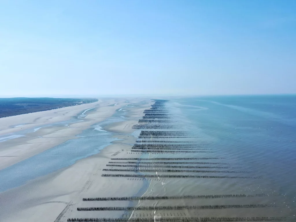 Vue aérienne d'une plage avec des têtes de houle.