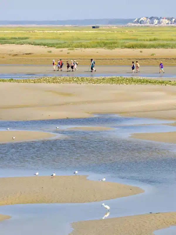 Randonneurs lors d’une traversée de la baie de Somme