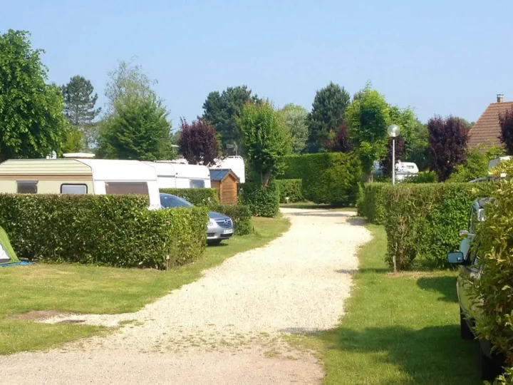 Allée d'un camping avec caravanes et verdure