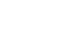 Bouquet de fleurs stylisées en blanc.