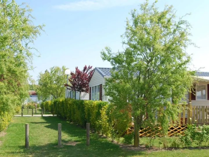 Parc avec maisons et arbres verdoyants