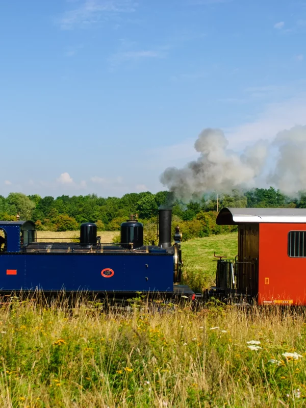 Locomotive à vapeur sur un chemin de fer pittoresque.