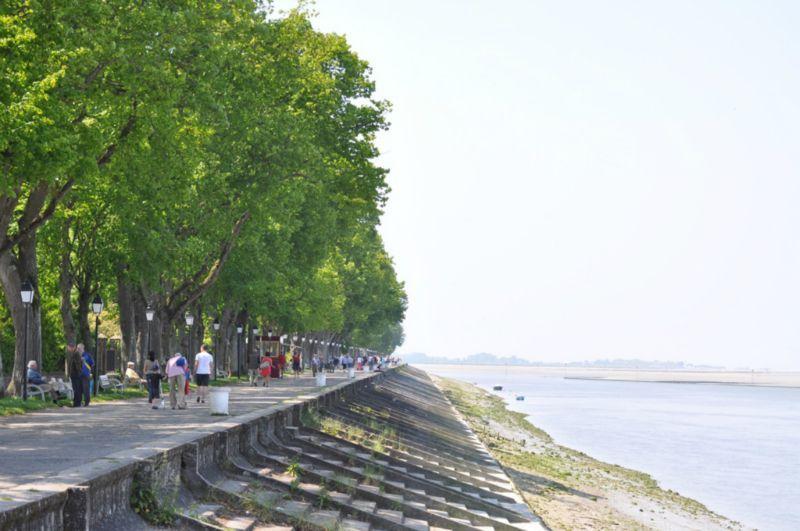 Promenade bordée d'arbres le long d'une rivière.