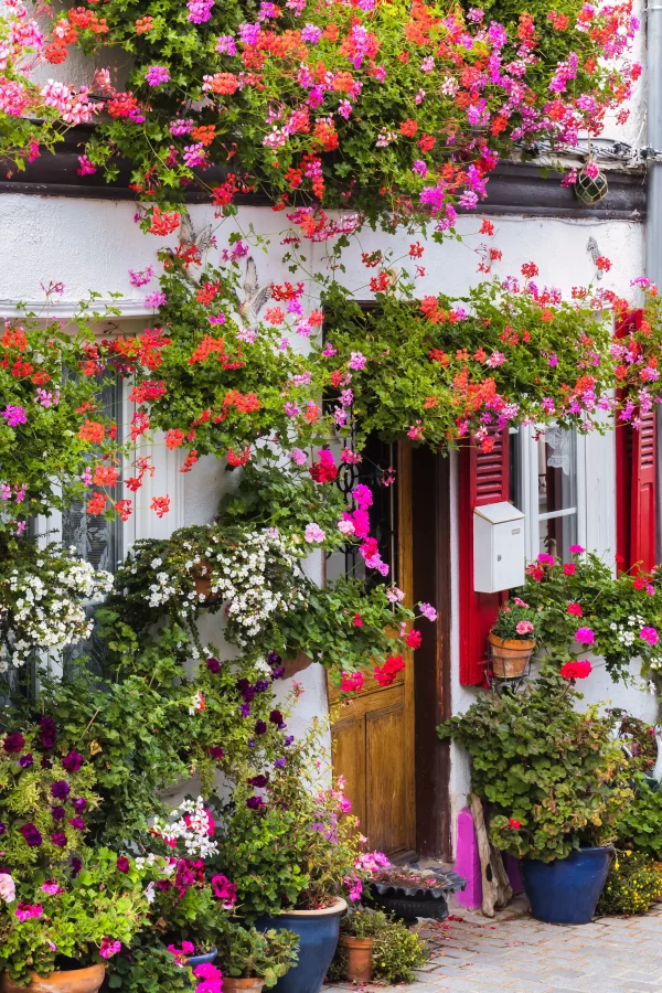 Façade colorée avec des fleurs et des pots.